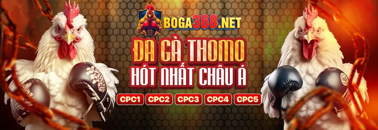 Đá gà trực tuyến kịch tính tại 388bet code